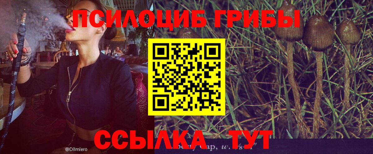 Чита  Псилоцибиновые грибы MAGIC MUSHROOMS  Вход с VPN 